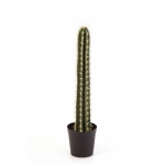 Column Cactus 104cm